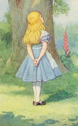 Alice e il gatto del Cheshire, illustrazione da 